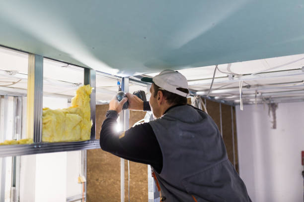Types of Insulation We Offer in Murfreesboro, NC
