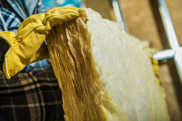 Best Specialized Insulation Services in Murfreesboro, NC